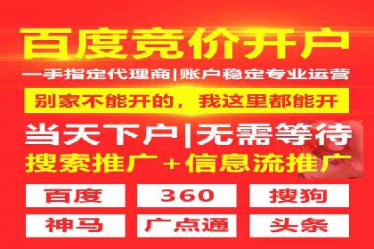 百度SEM推广案例：揭秘行业领军企业的成功之路